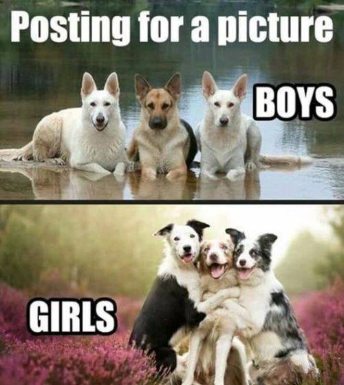 boys_vs_girls_35.jpg