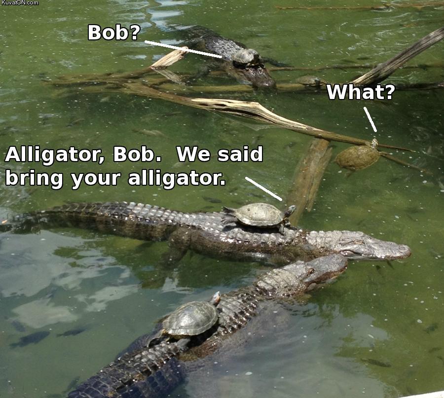 bring_your_alligator.jpg