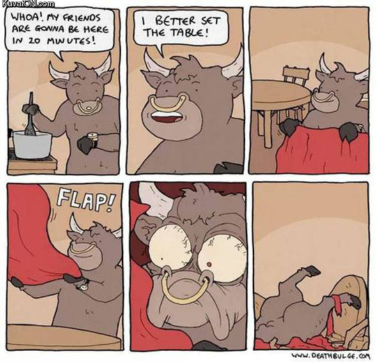 bull3.jpg