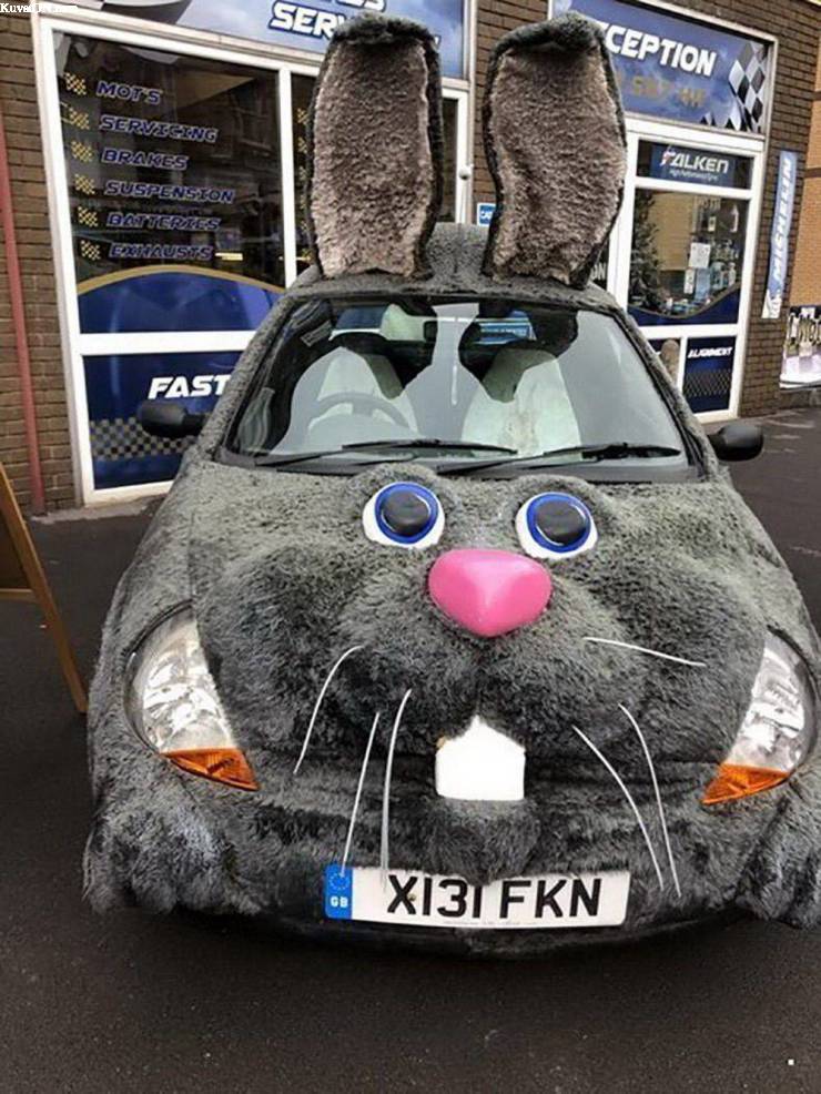 bunnycar.jpg