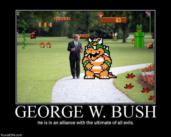 bush7.jpg