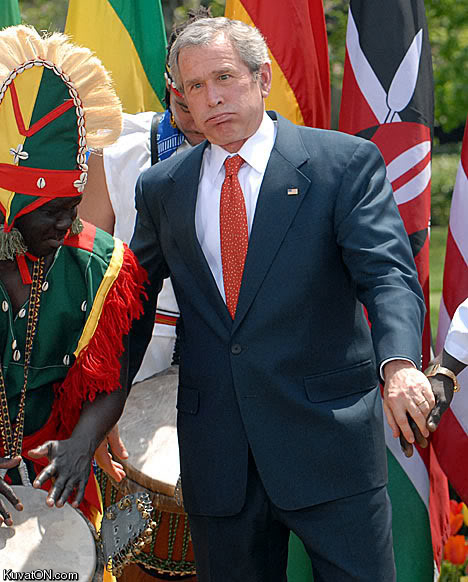 bush_in_africa.jpg