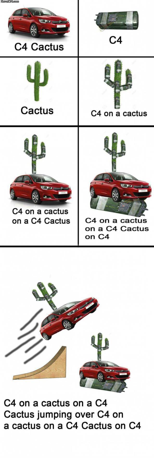 c4_cactus.jpg