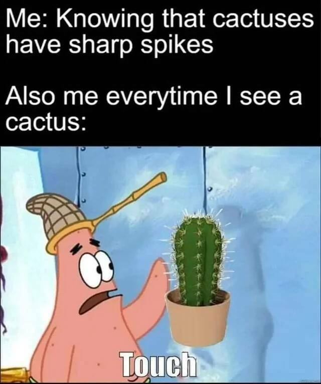 cactus3.jpg