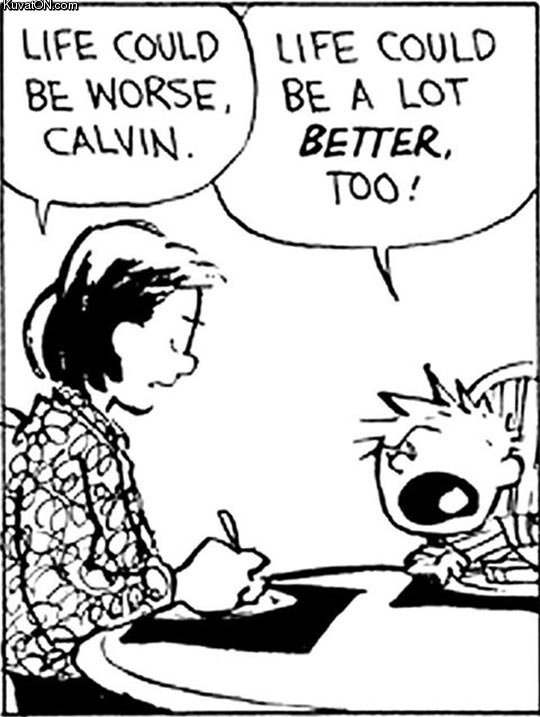 calvin_is_right.jpg