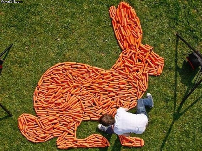 carrots_art.jpg