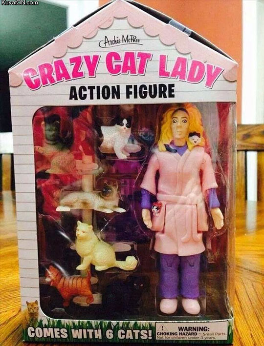 cat_lady_action_figure.jpg