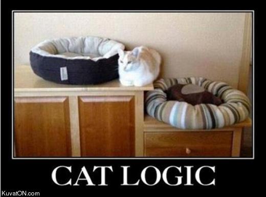 cat_logic.jpg