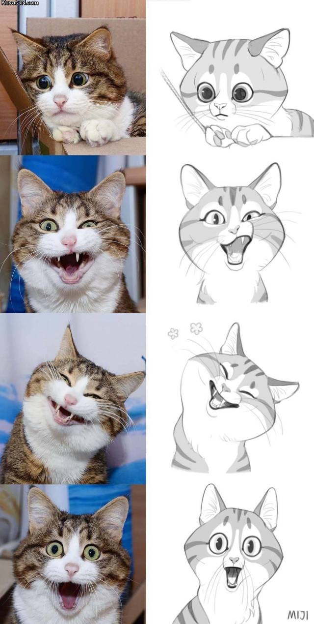 catcartoons.jpg