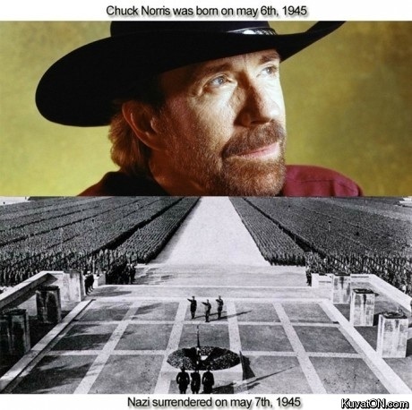 chuck_norris2.jpg