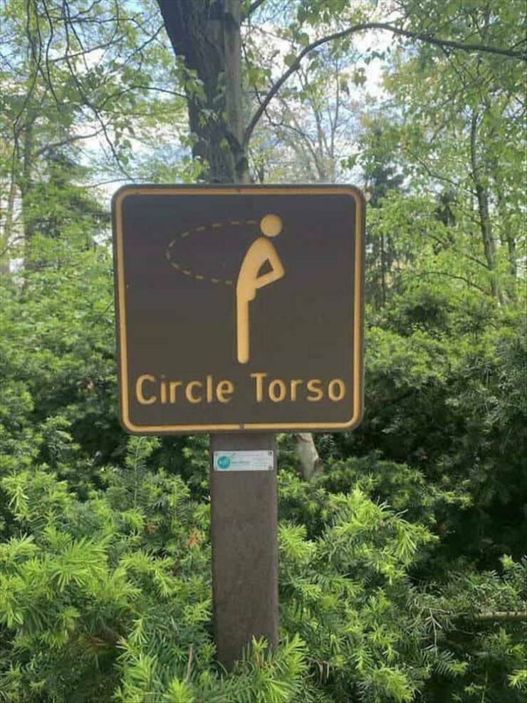 circle_torso.jpg