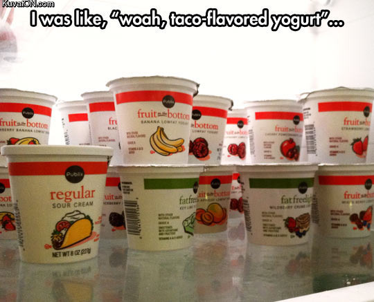 coolyogurtcreamflavorstaco.jpg