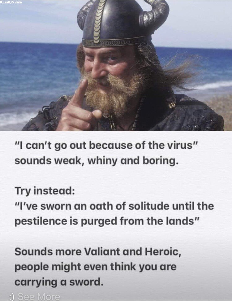 covid19_viking.jpg