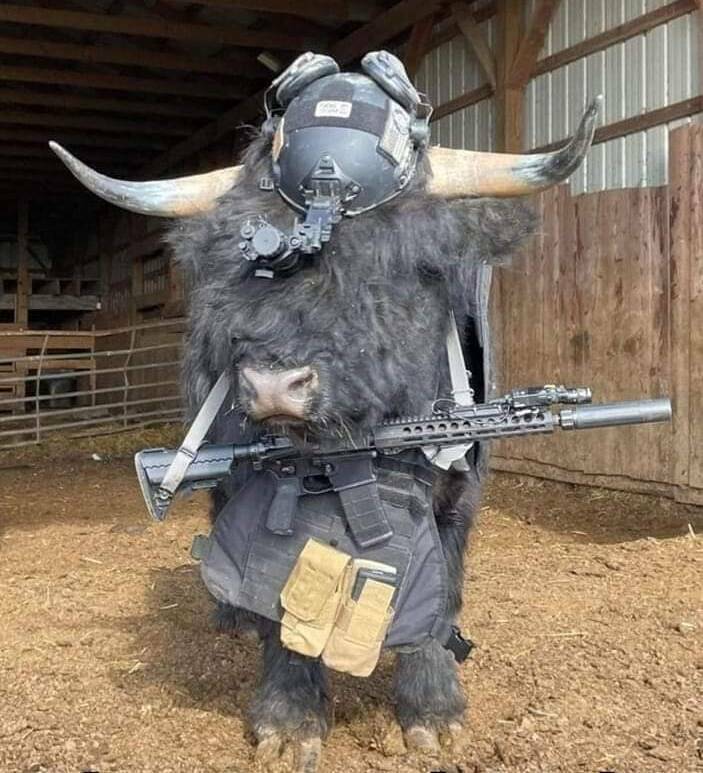 cowsoldier.jpg