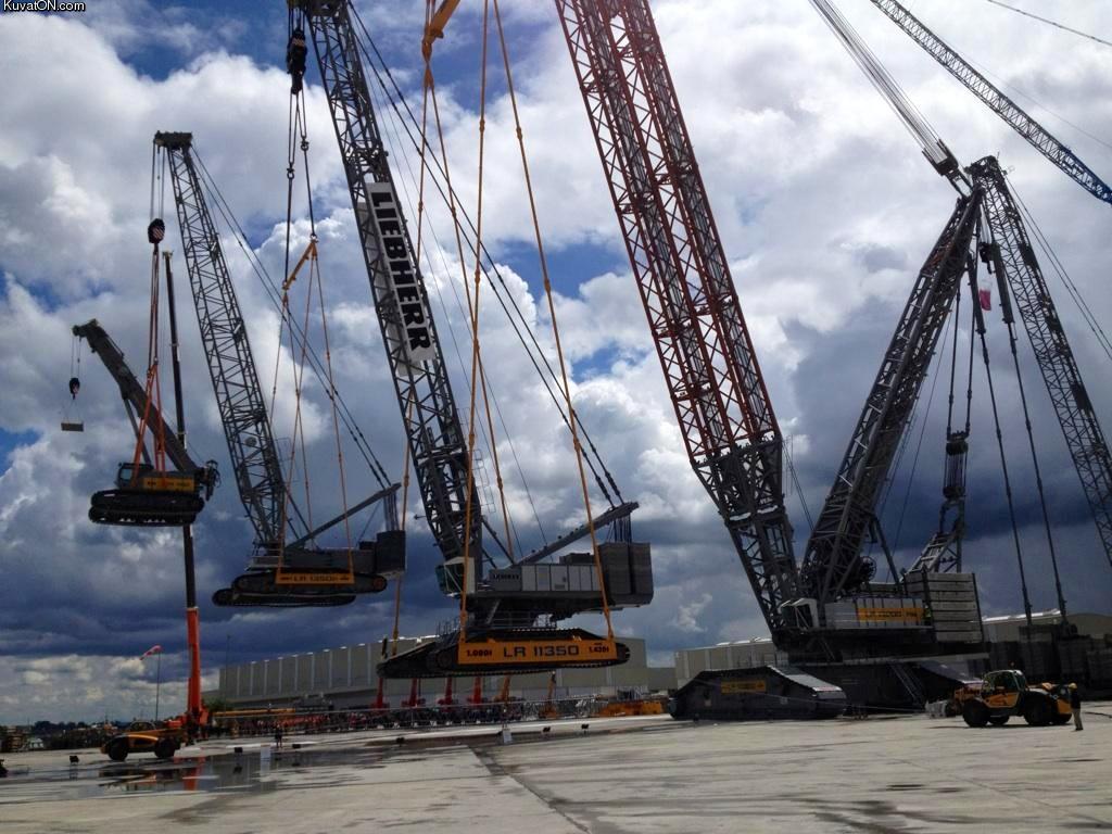 craneception.jpg