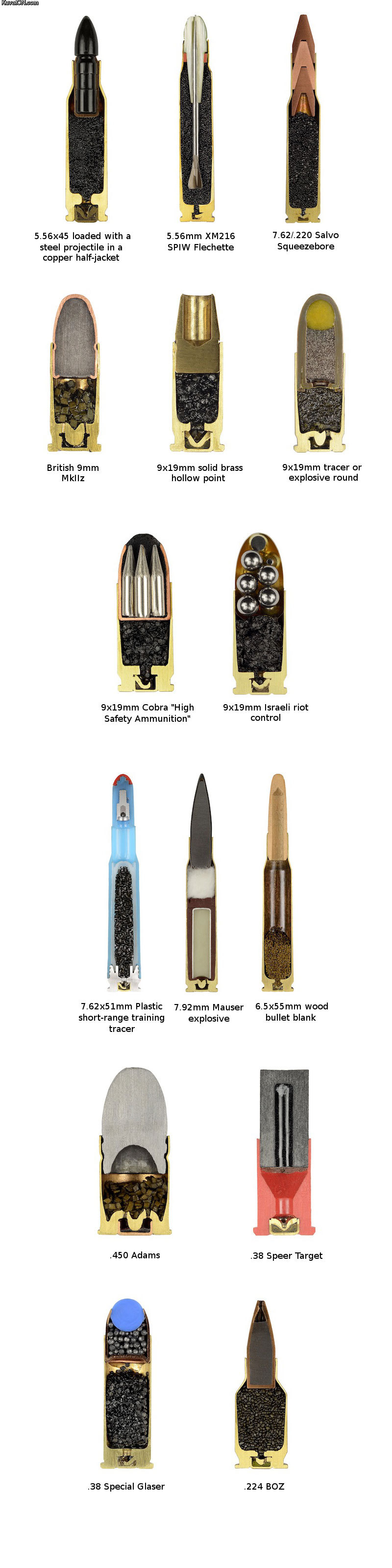 cross_section_of_ammo.jpg