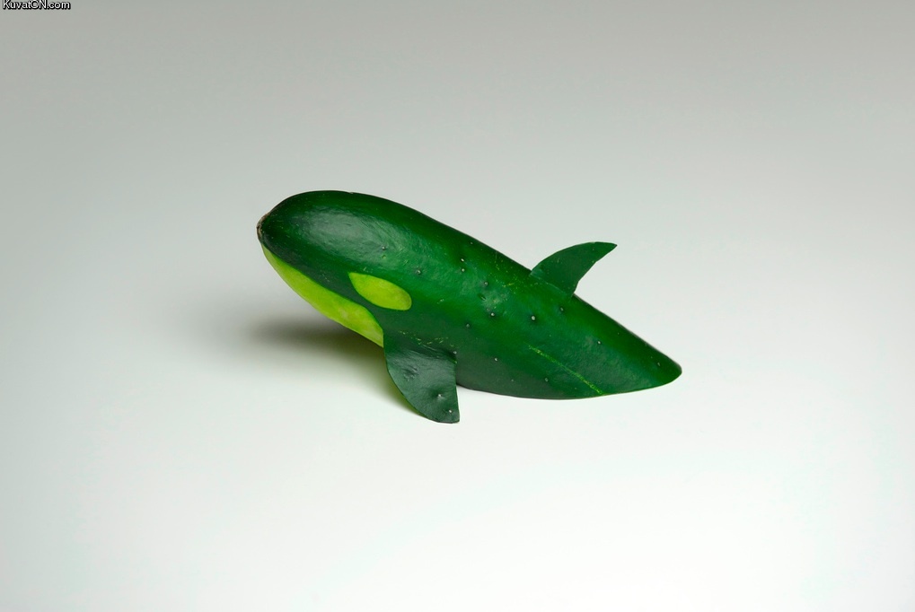 cucumber_orca.jpg