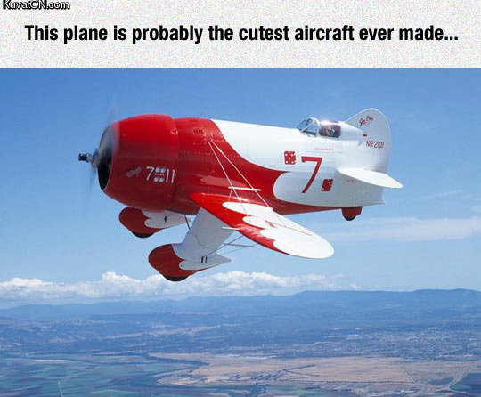 cutest_aircraft_ever_made.jpg