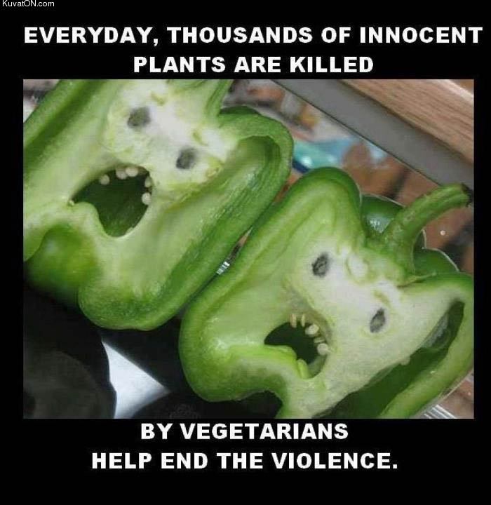 damn_vegetarians.jpg