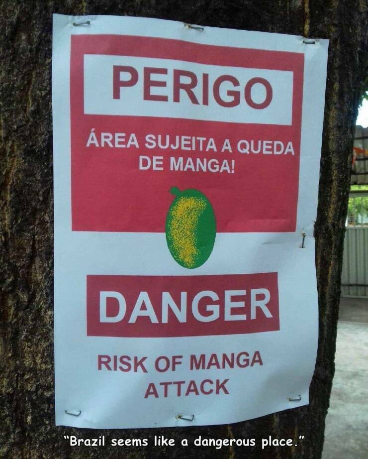 danger6.jpg