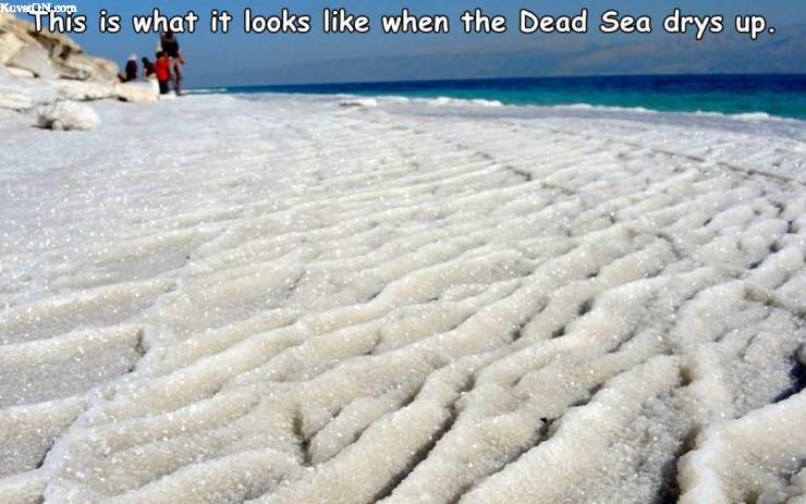 dead_sea_.jpg