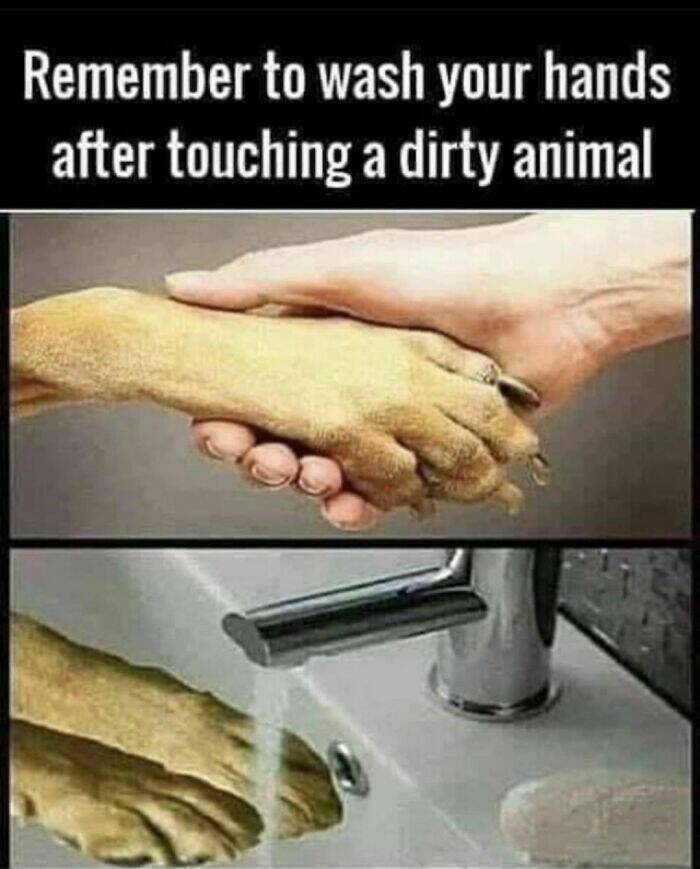 dirty_animal.jpg