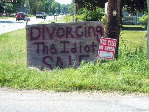 divorcing_the_idiot_sale.jpg