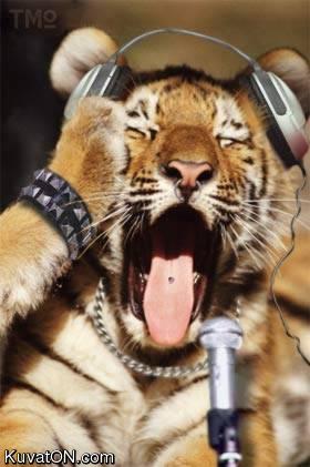 dj_tiger.jpg