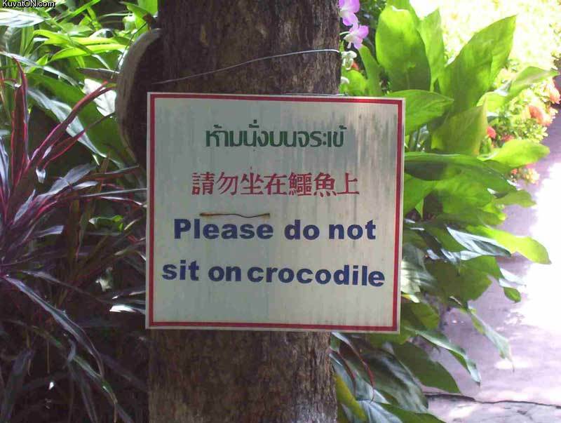 do_not_sit_on_crocodile_sign.jpg