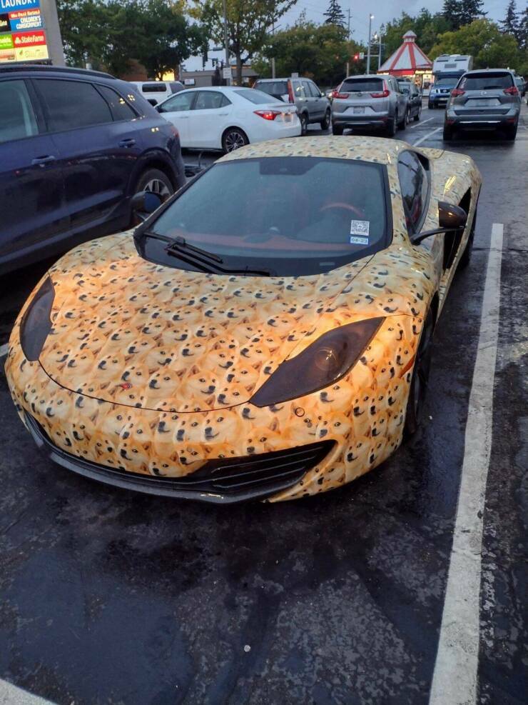 dogecar6.jpg