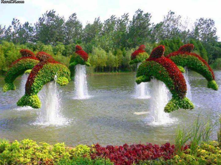 dolphins_garden_art.jpg