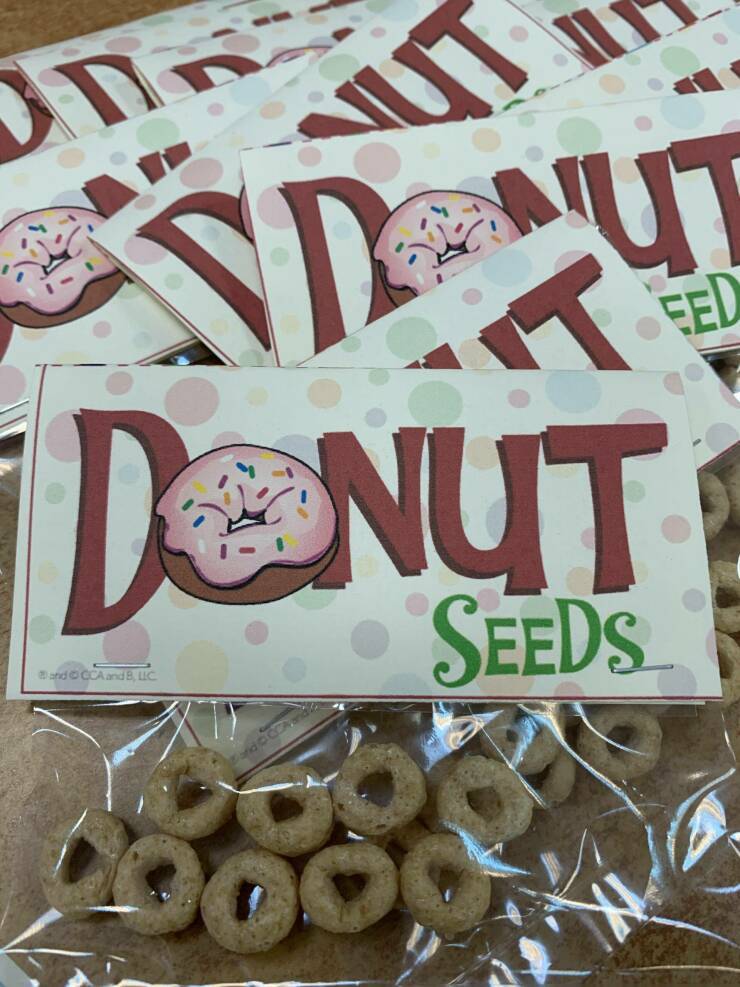 donutseeds.jpg