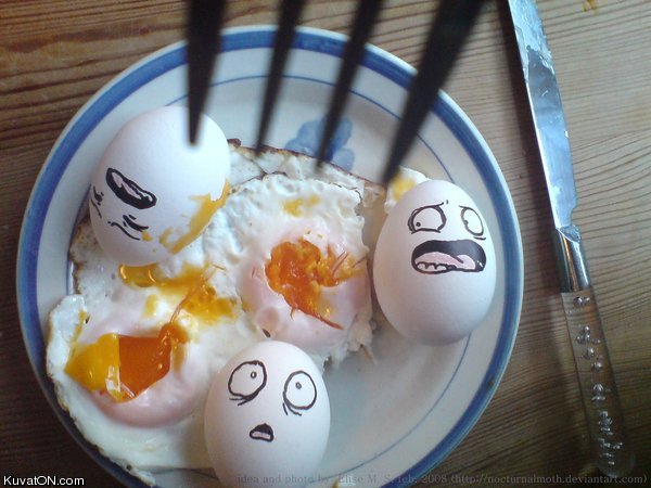 eggs4.jpg