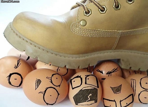 eggs6.jpg