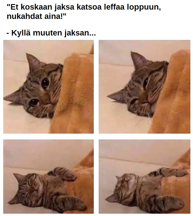 ei_jaksanut.jpg