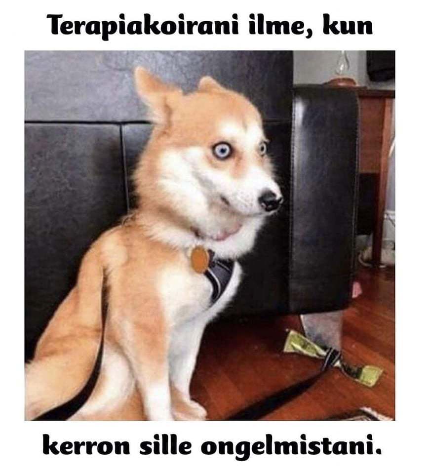 ela_kerro_enempaa.jpg