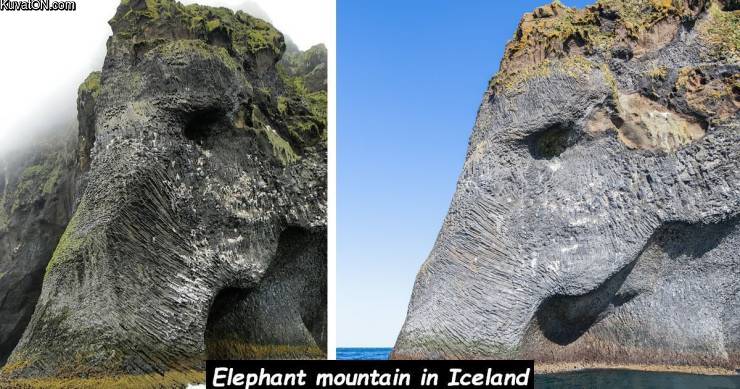 elephant_mountain.jpg