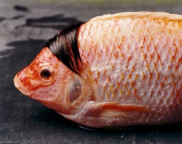 emo_fish.jpg