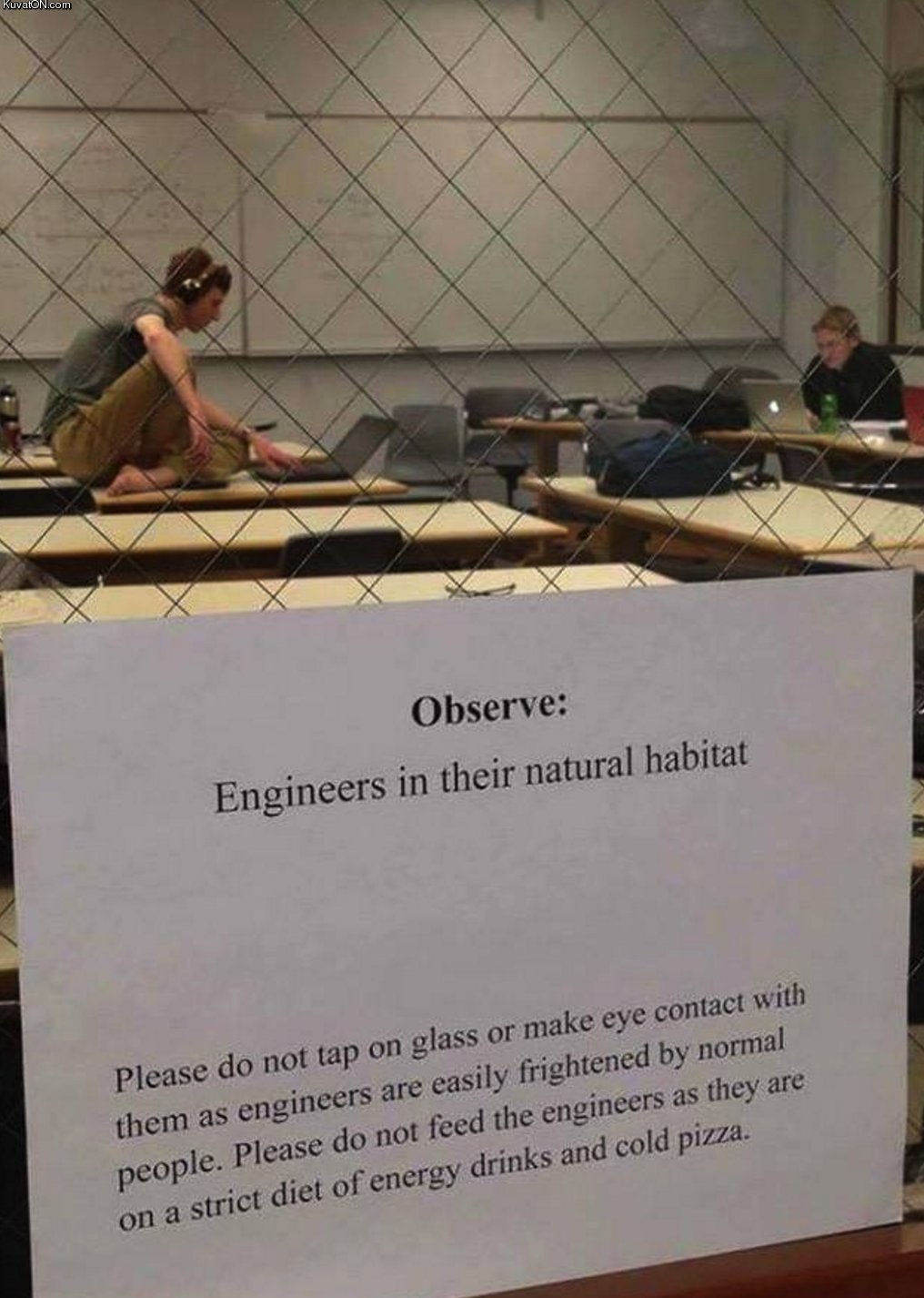 engineers_2.jpg