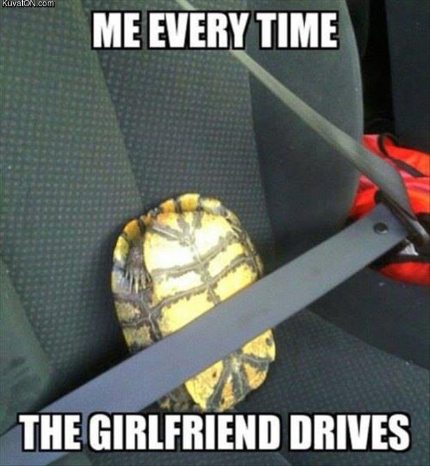 everytime_my_girlfriend_drives.jpg