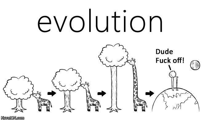 evolution11.jpg