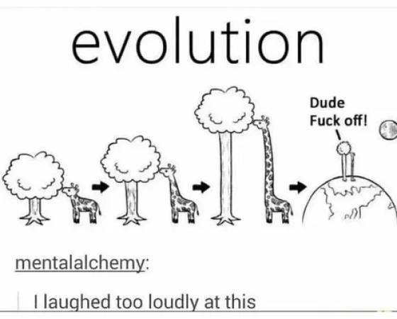 evolution12.jpg