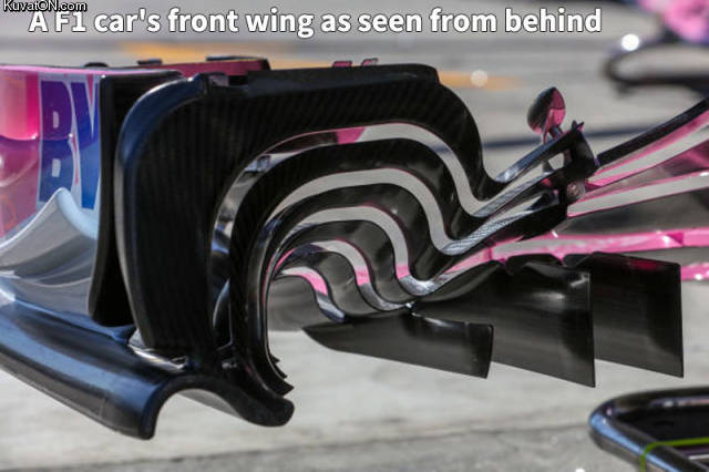 f1wing.jpg