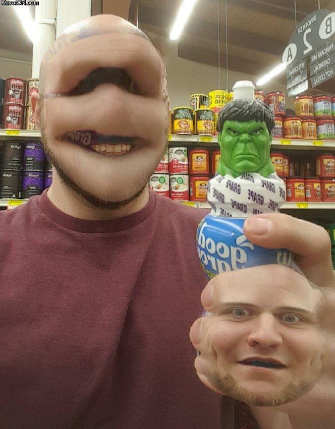 faceswapping_with_the_hulk_didnt_go_as_planned.jpg