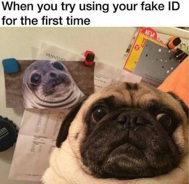 fakeid_3.jpg