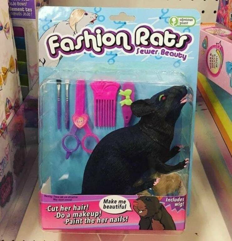 fashion_rats.jpg