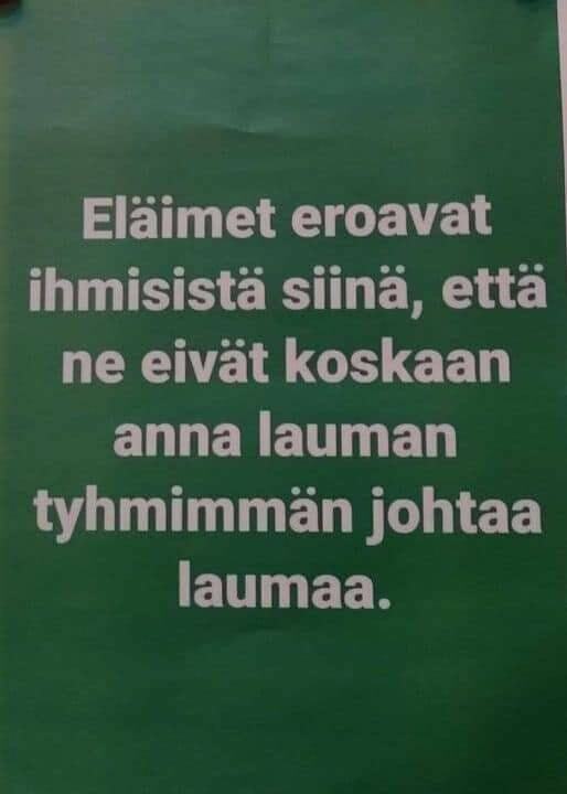 fiksuja_ovat.jpg