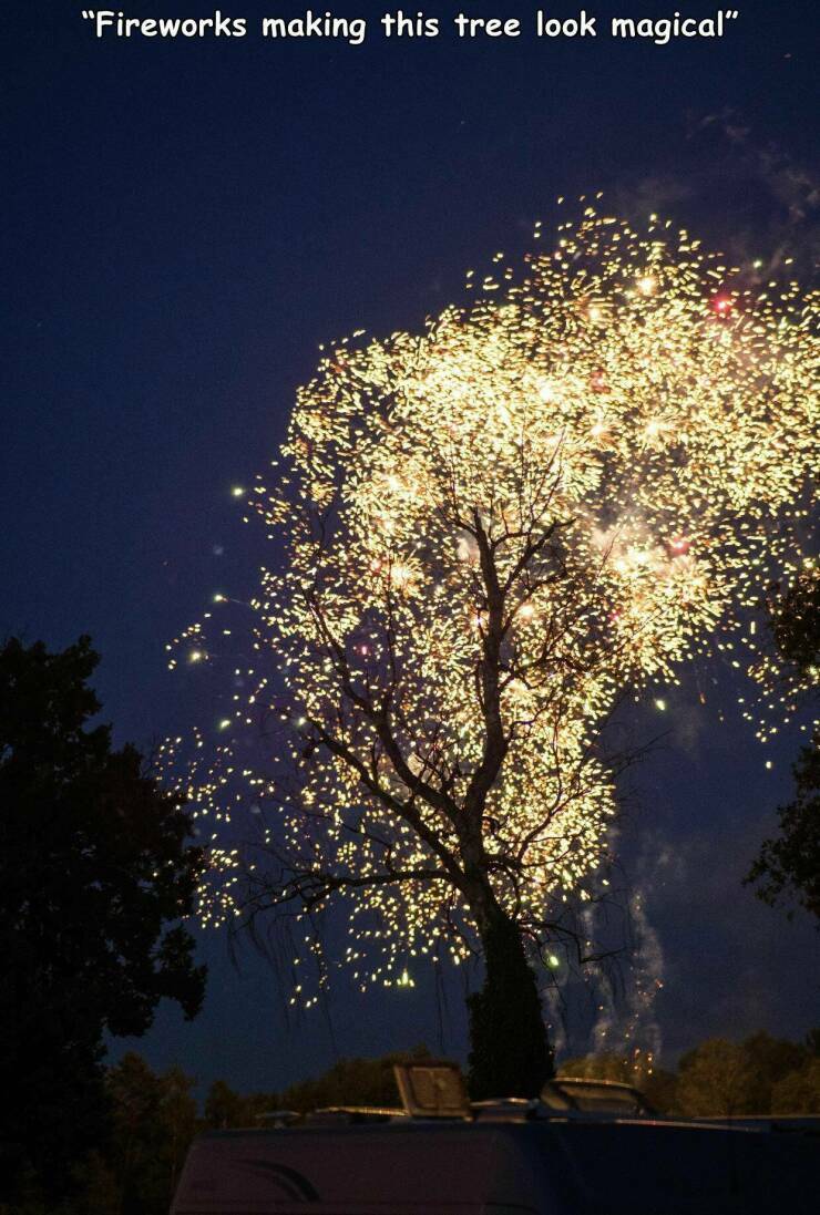 fireworkstree.jpg