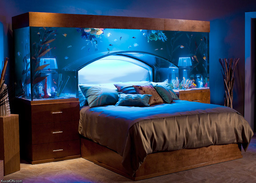 fish_tank_bedroom.jpg