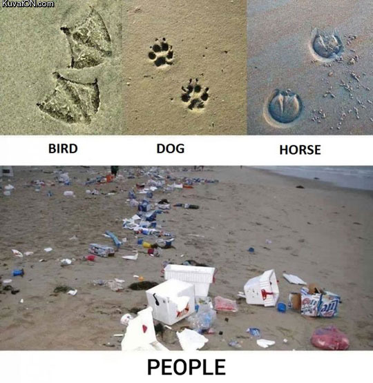 footprints_of_different_animals.jpg